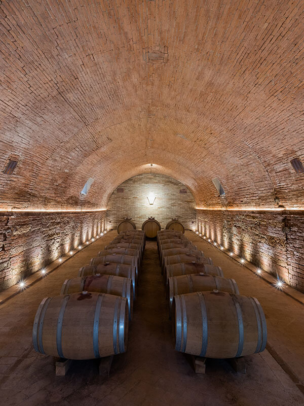 View of the cellar