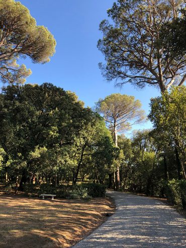 View of the viale